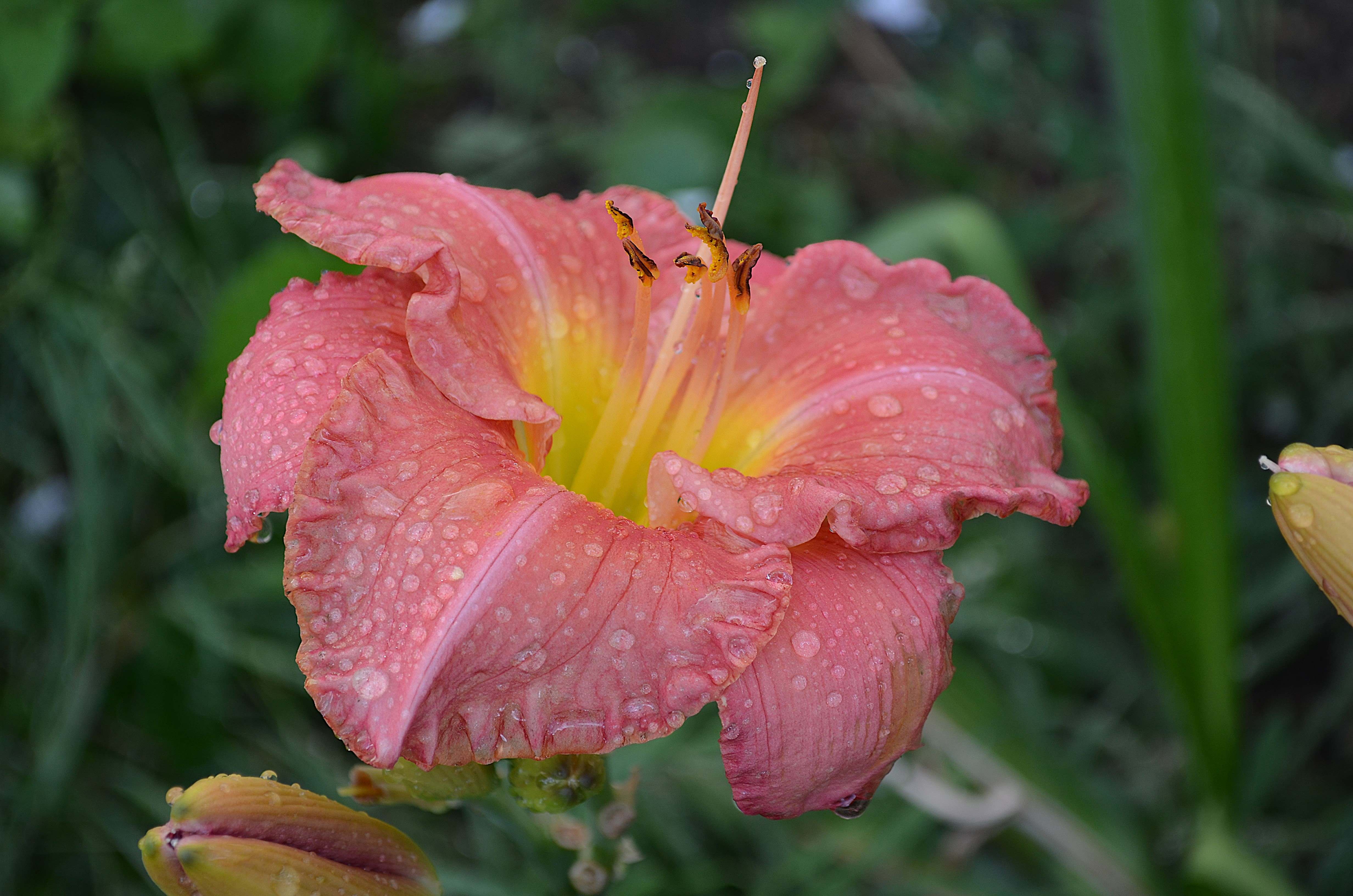 Nature Photography by Lance Albers