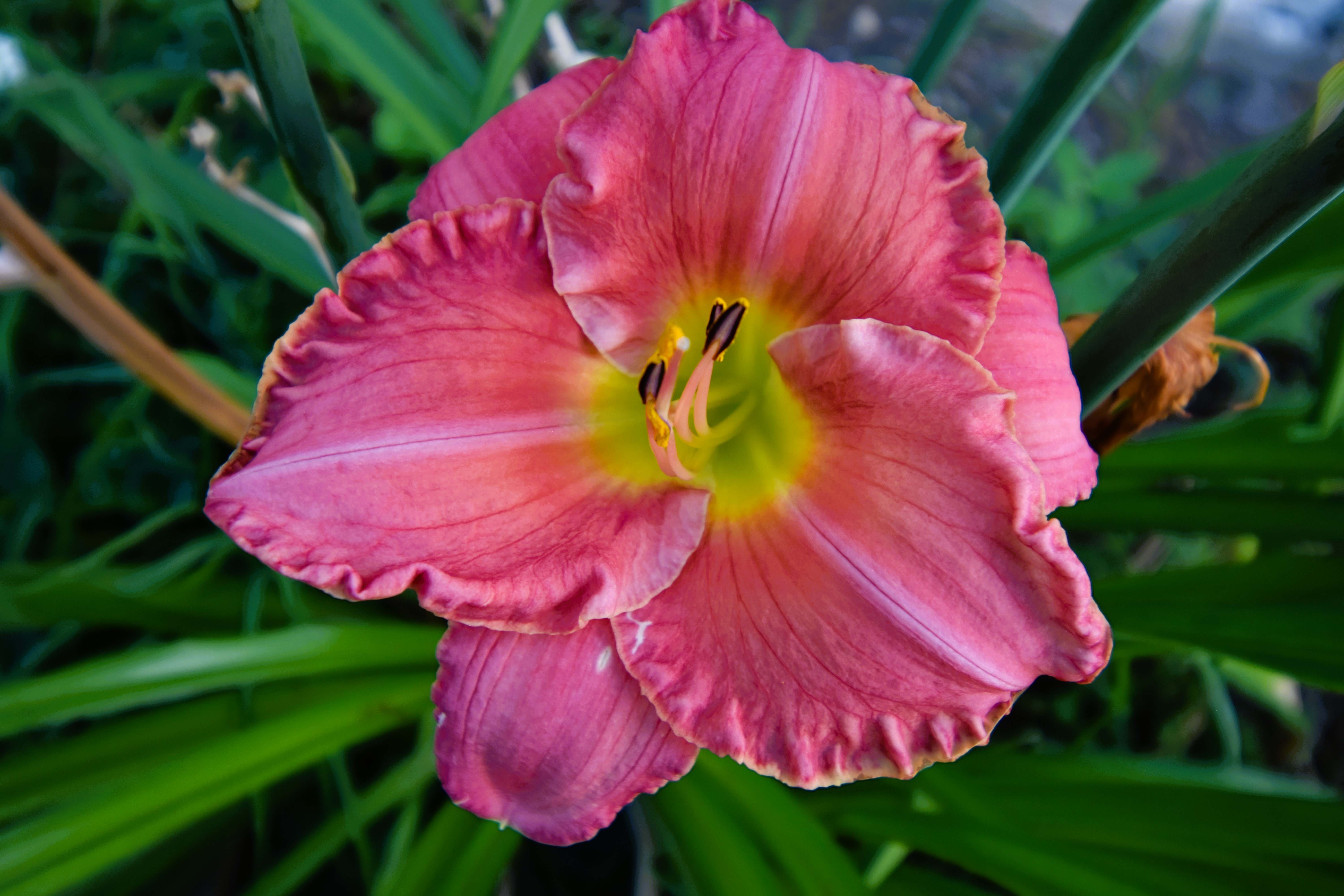 Lance Albers Nature Photography