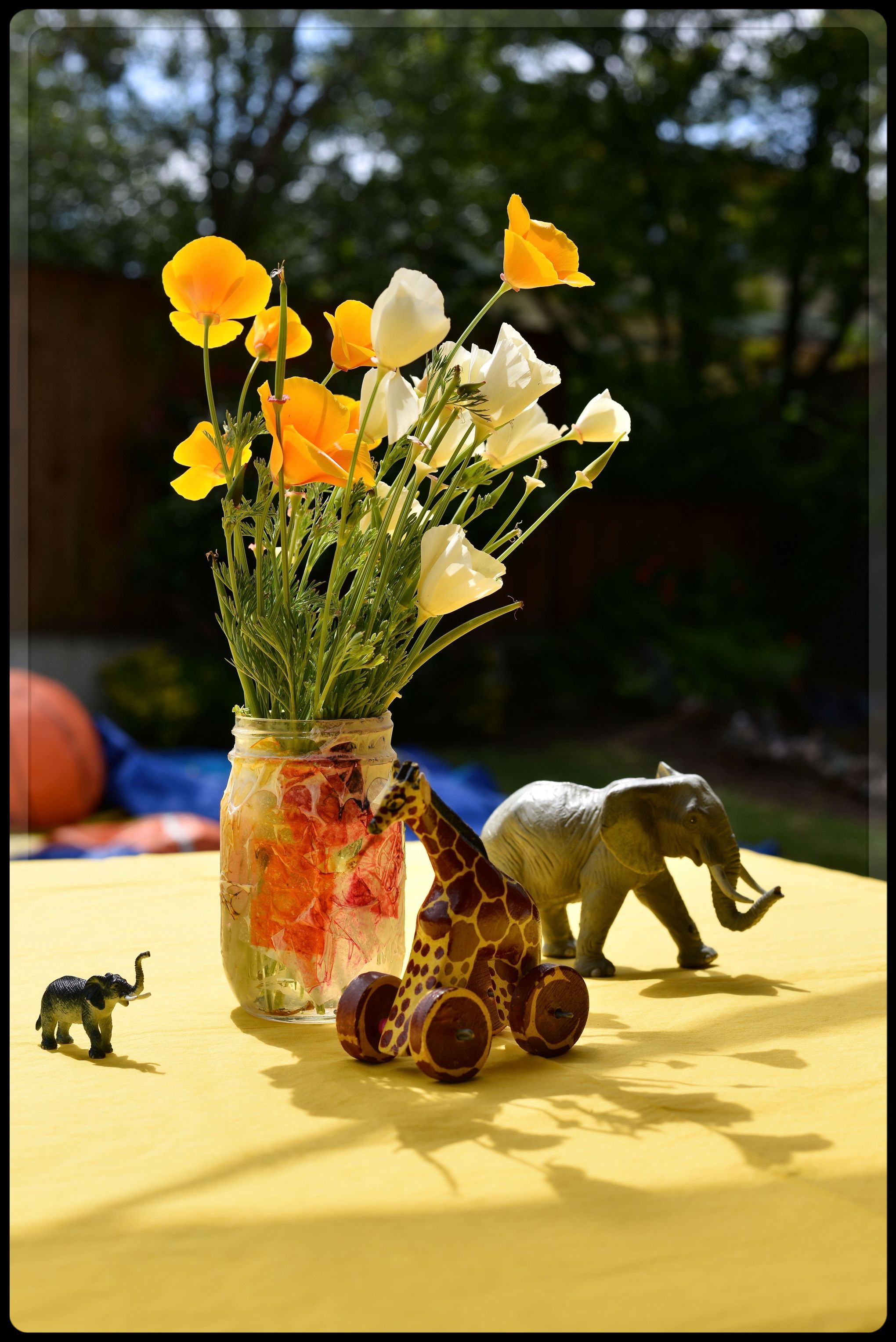 Birthday Party Decorations by Lance Albers Photography