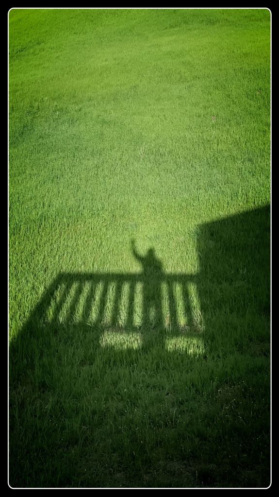 Lance Albers Photography