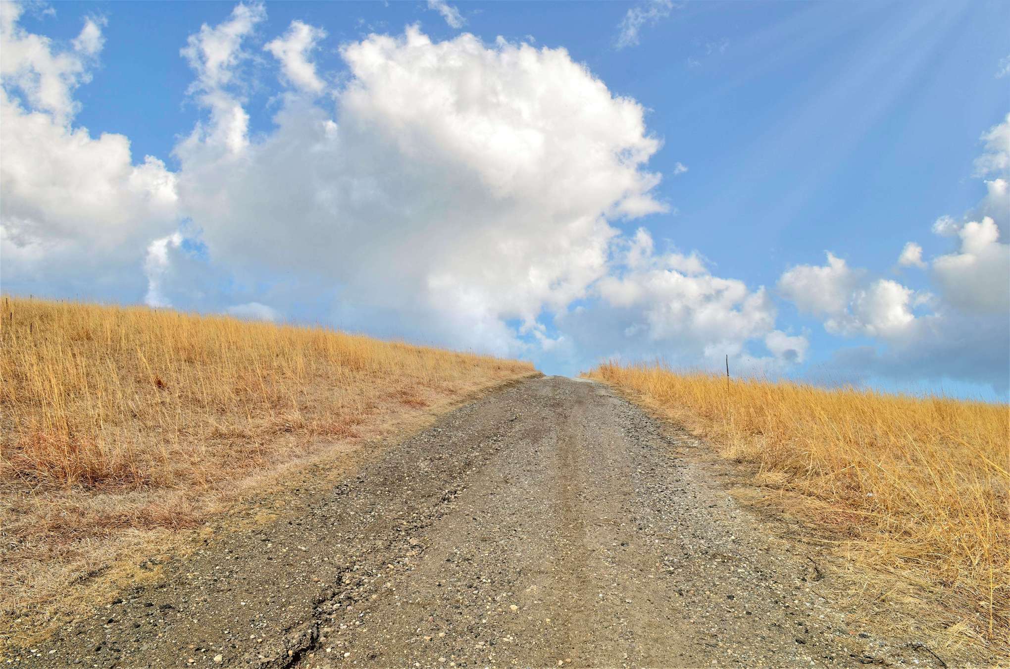 Otter Tail County Photography by Lance Albers