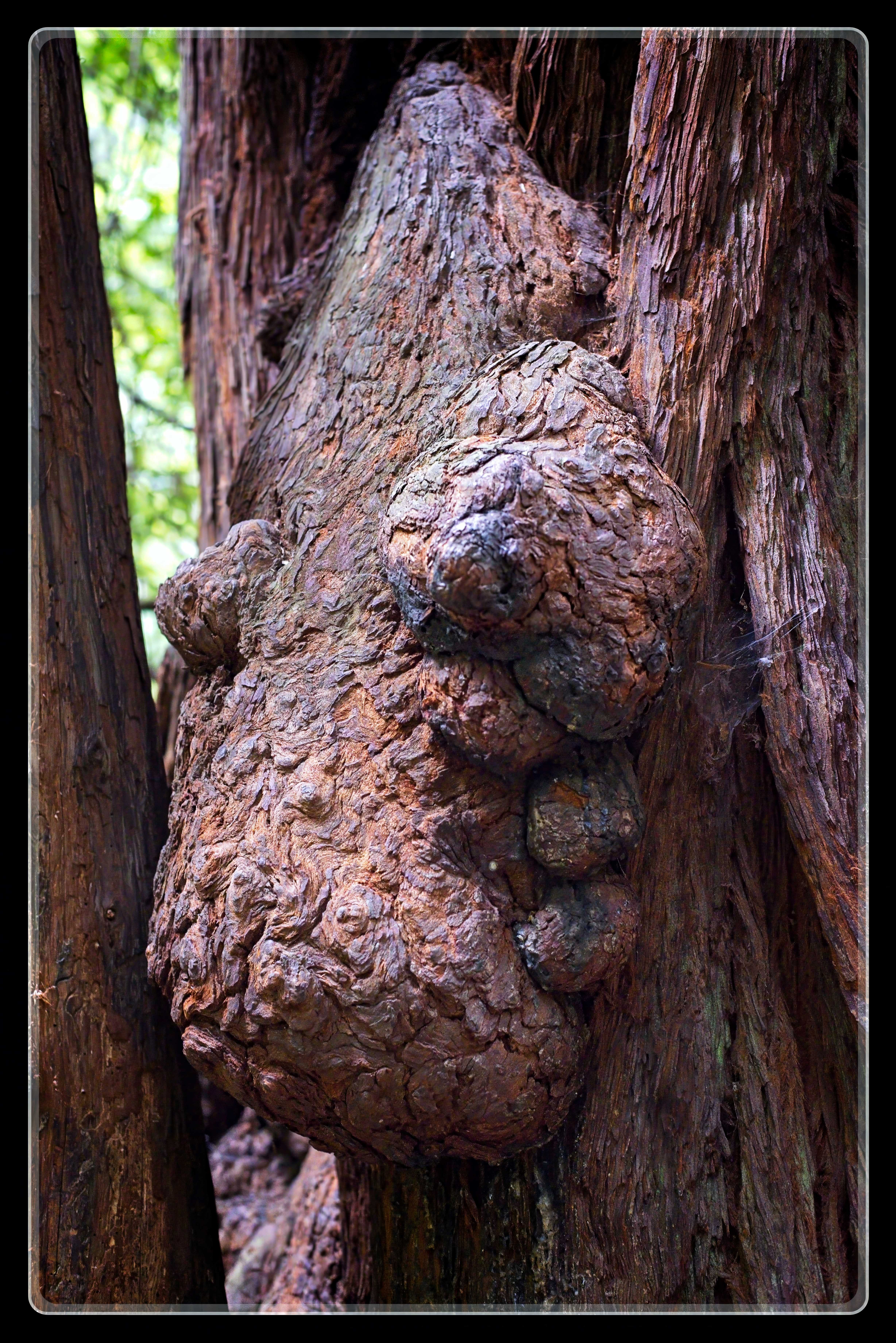 Lance Albers Nature Photography Otter Tail County Minnesota