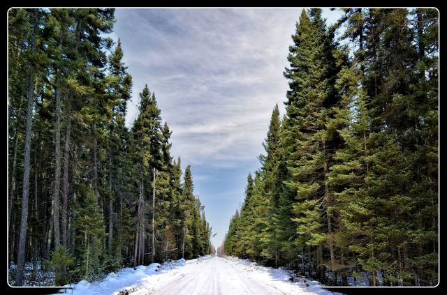 Lance Albers Photography