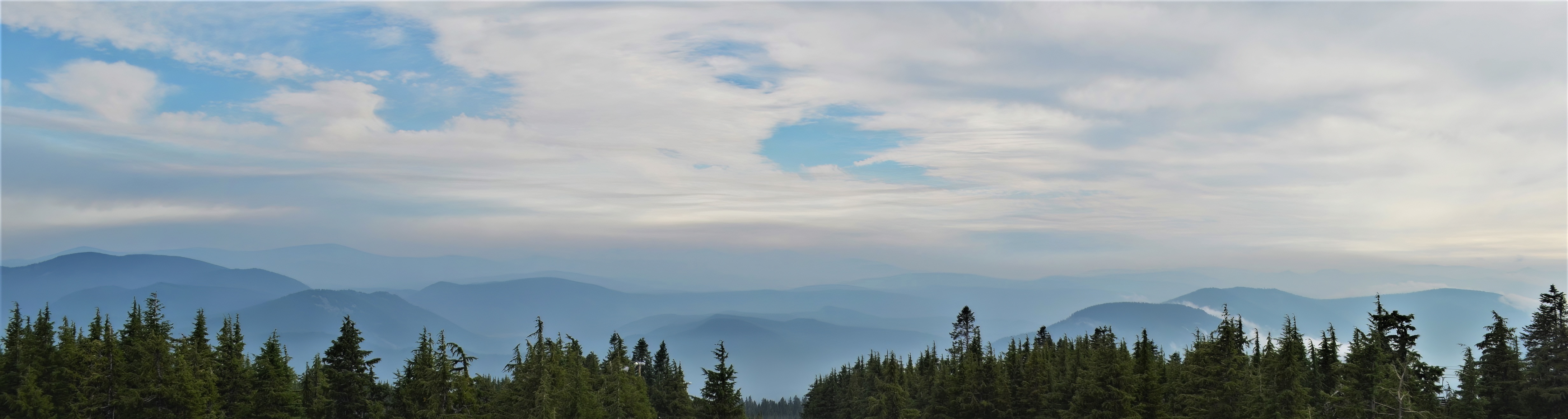 Lance Albers Nature Photography