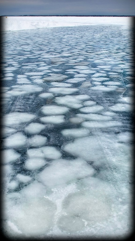 Lance Albers Photography