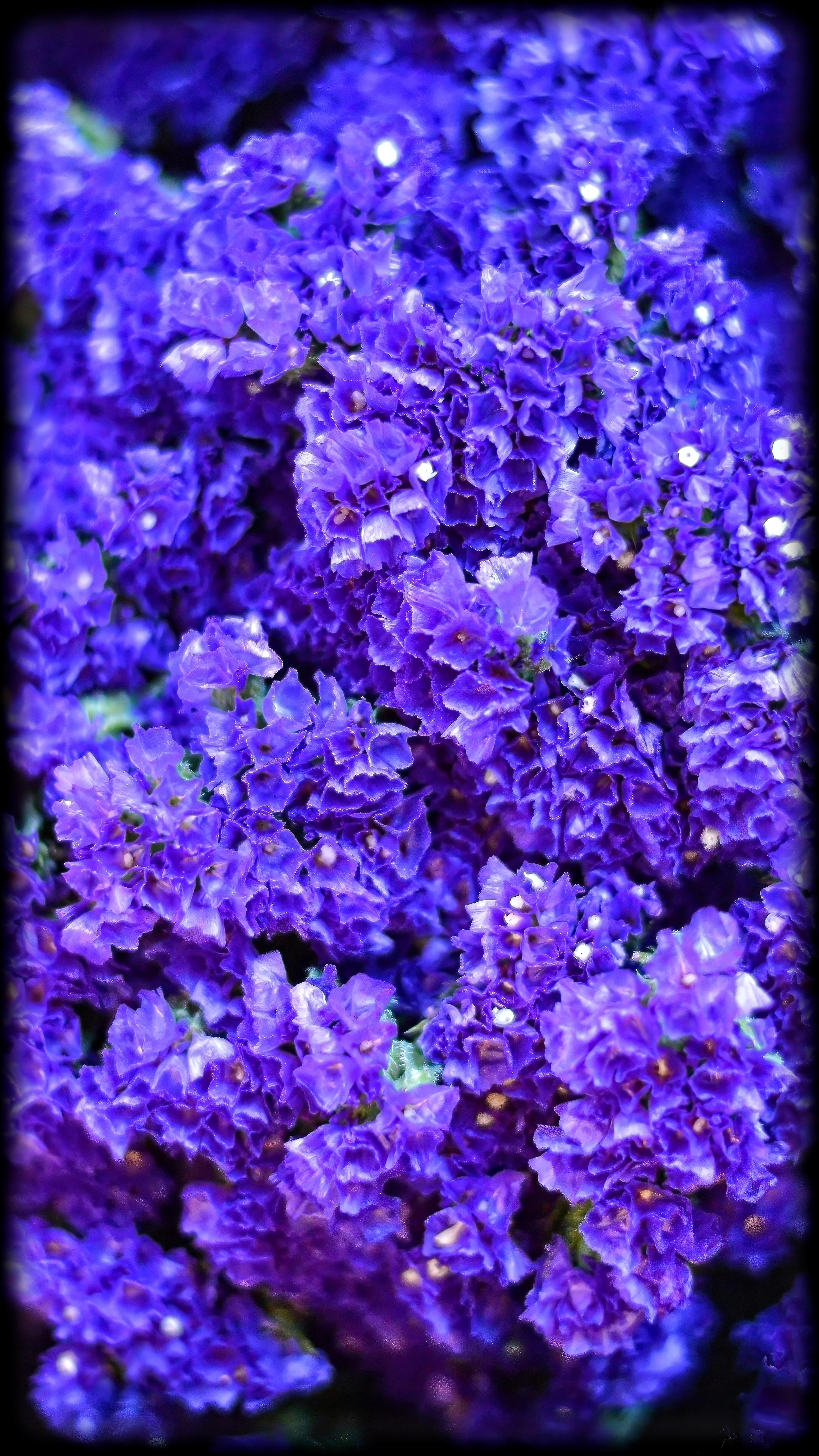 Lance Albers Photography