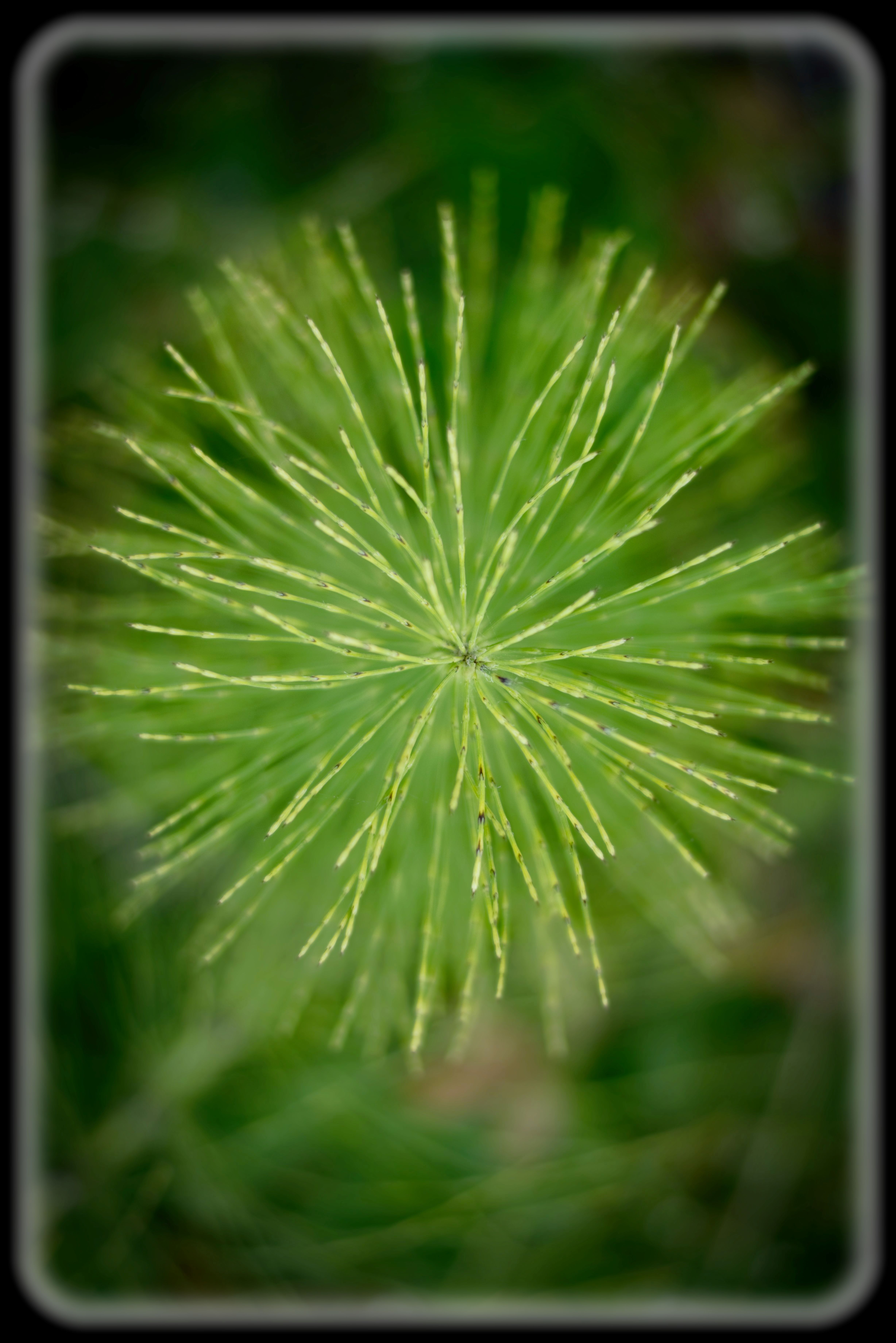 Lance Albers Fine Art Photography