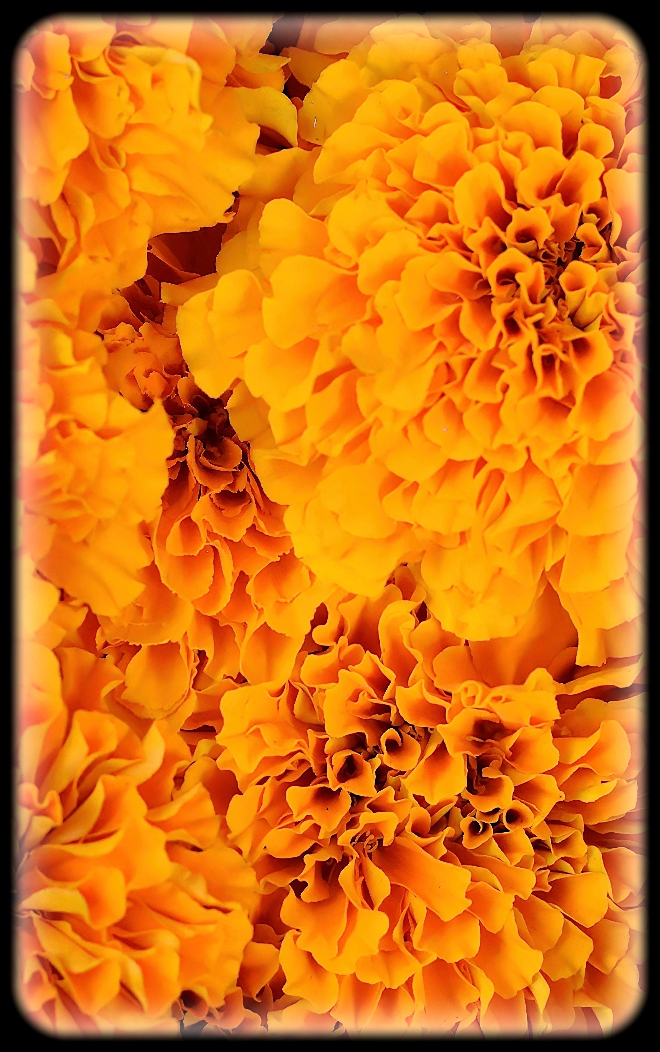 Lance Albers Fine Art Photography Fergus Falls Minneota