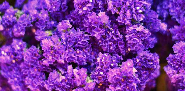 Lance Albers Photography