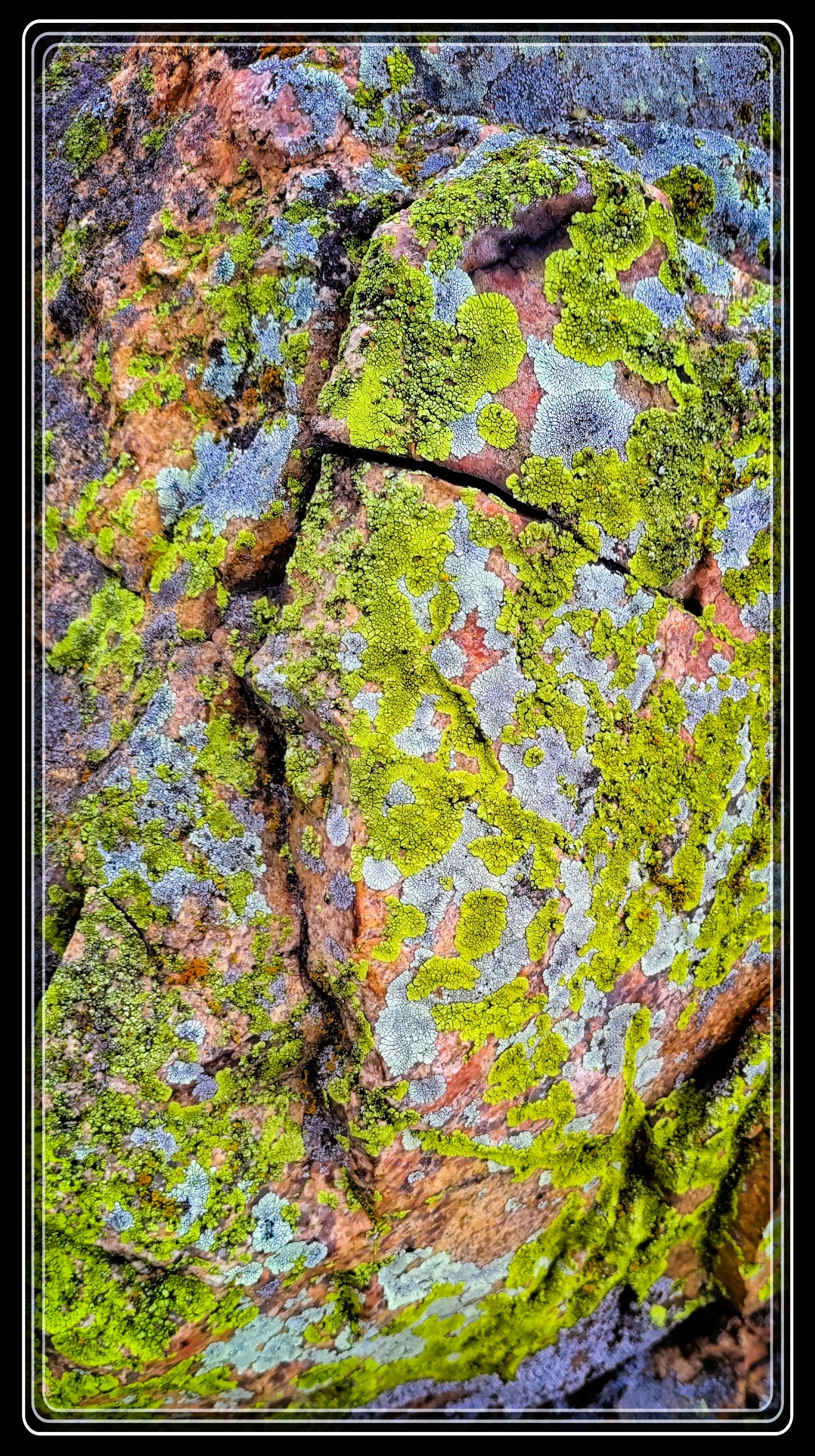 Gneiss Outcrop by Granite Falls, Oldest Rock Formation in Minnesota