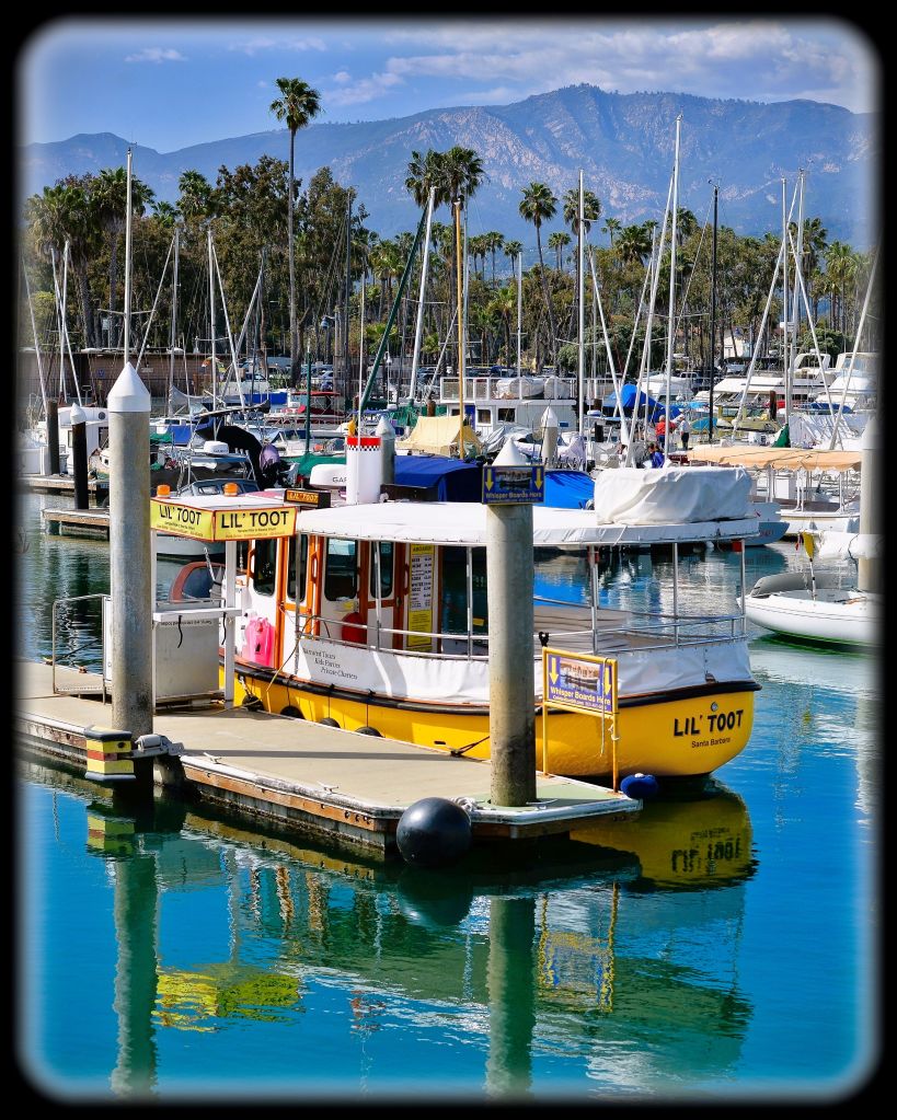 Boats at Santa Barbara Yacht Club (Lance Albers Photography)