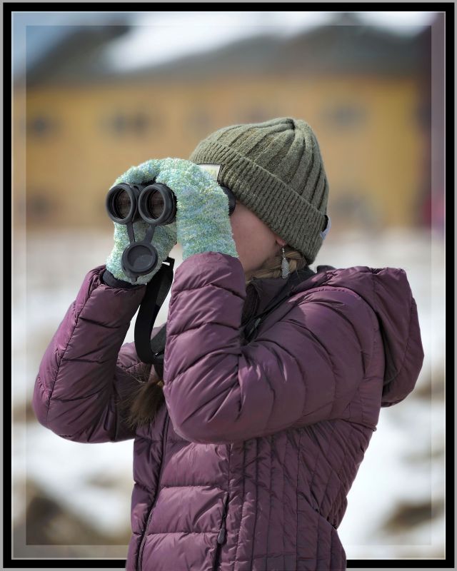 Woman with Binoculars Prairie Wetlands Learning Center Fergus Falls, MN (Photography by Lance Albers)