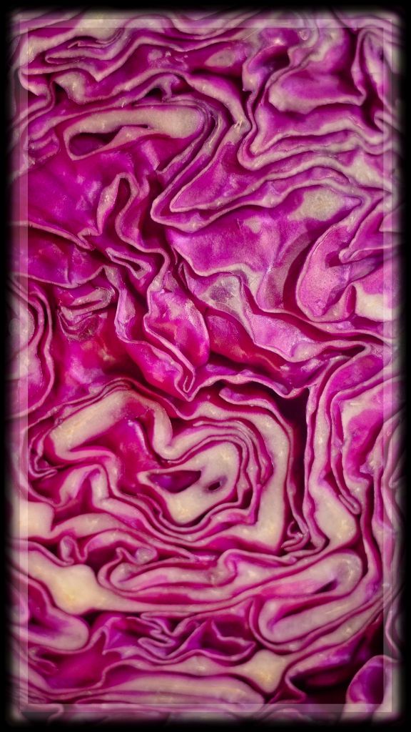 Red Cabbage by Lance Albers Photography