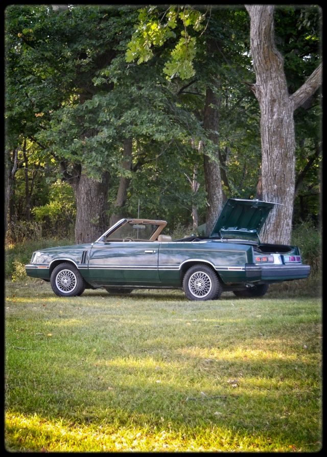 1982 Dodge 400 in the woods Lance Albers Photography