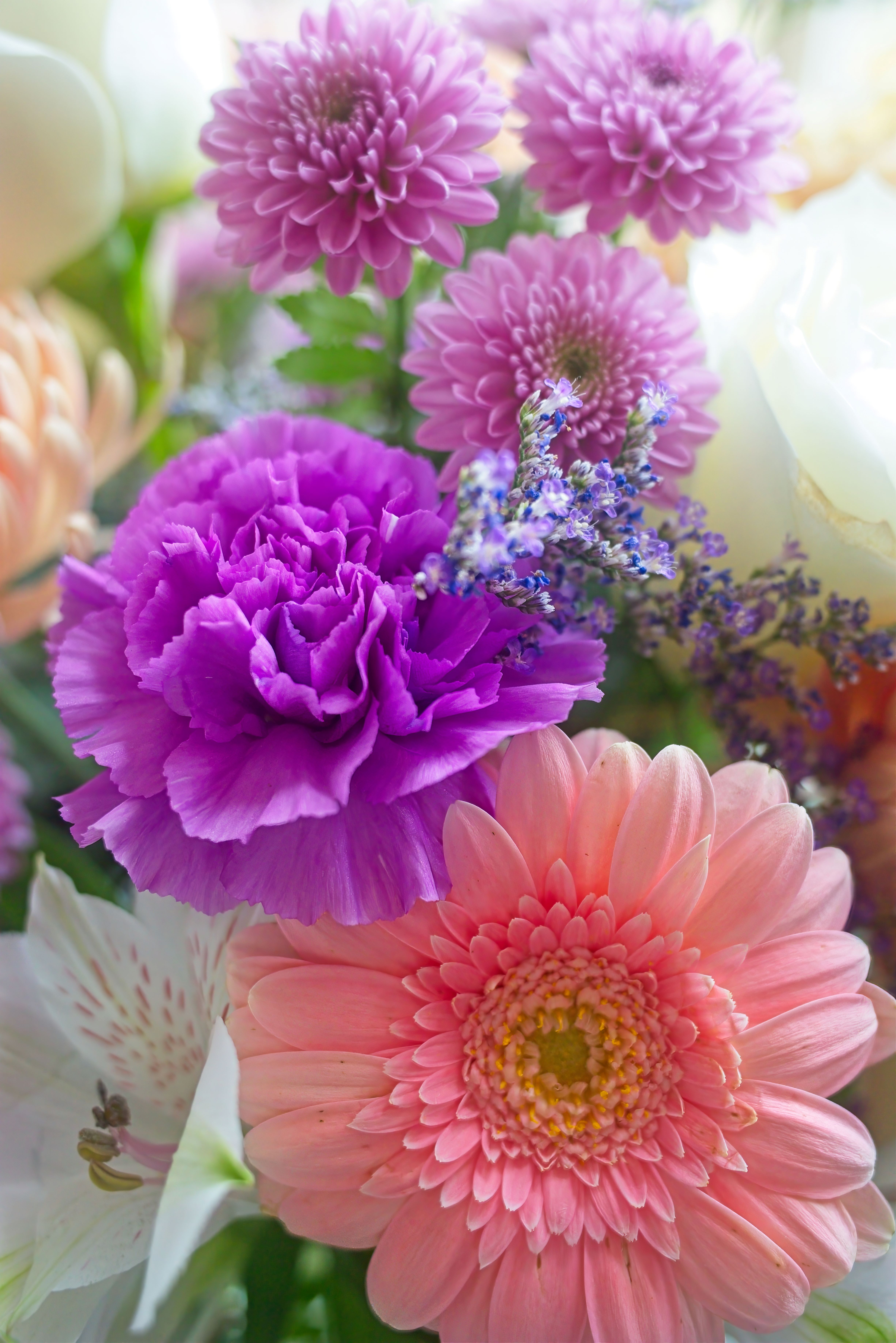 Flowers Photographed by Lance Albers