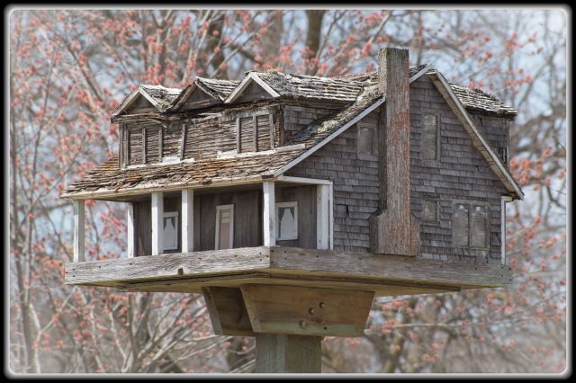 Bird House at Glendalough State Park Lodge (Photograph by Lance Albers)