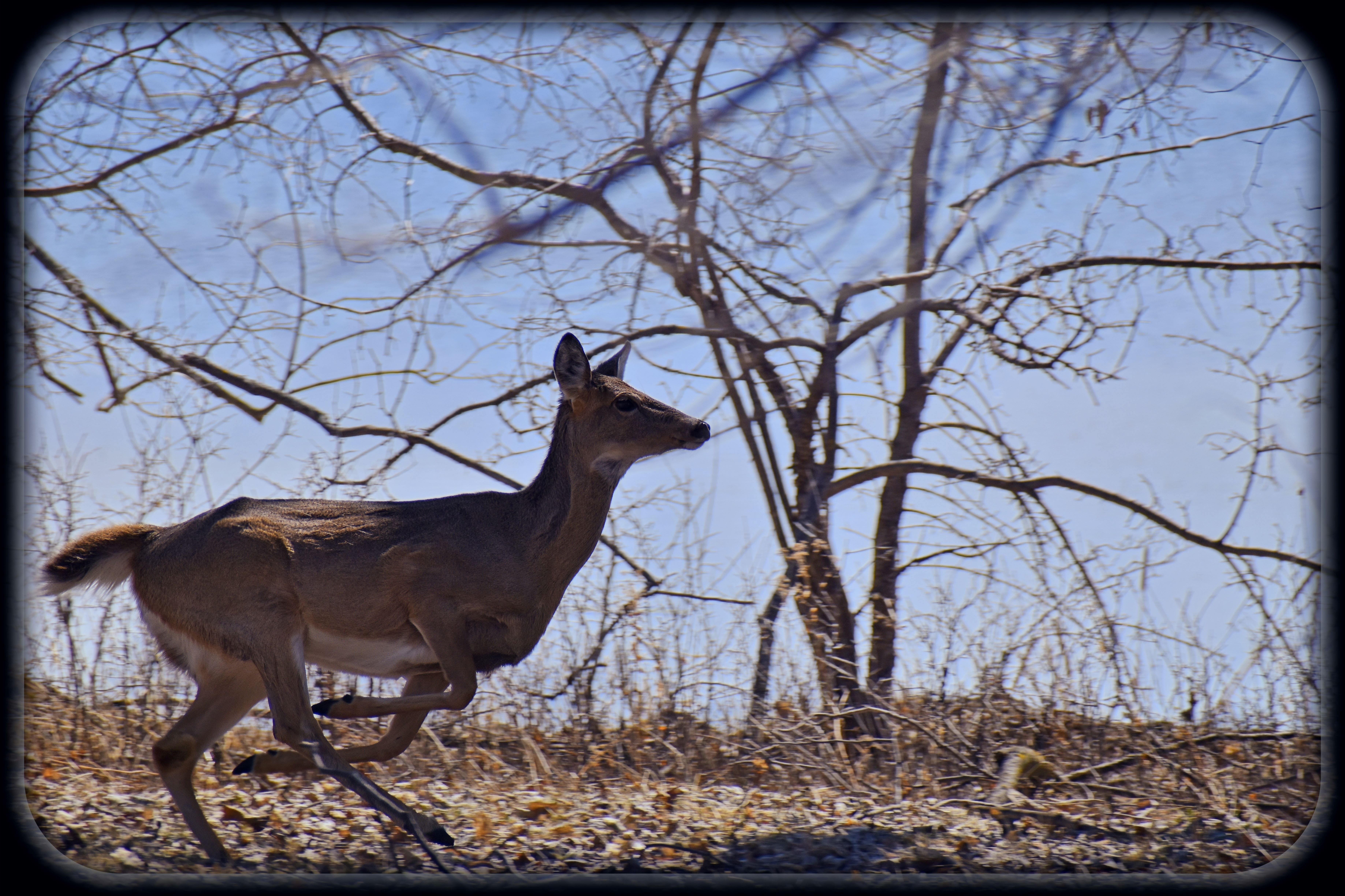 Lance Albers Photography Minnesota fine art photography