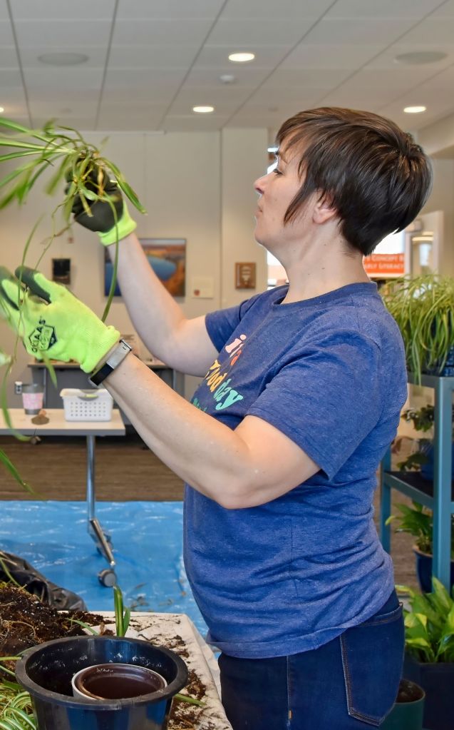 Fergus Falls Library by Lance Albers