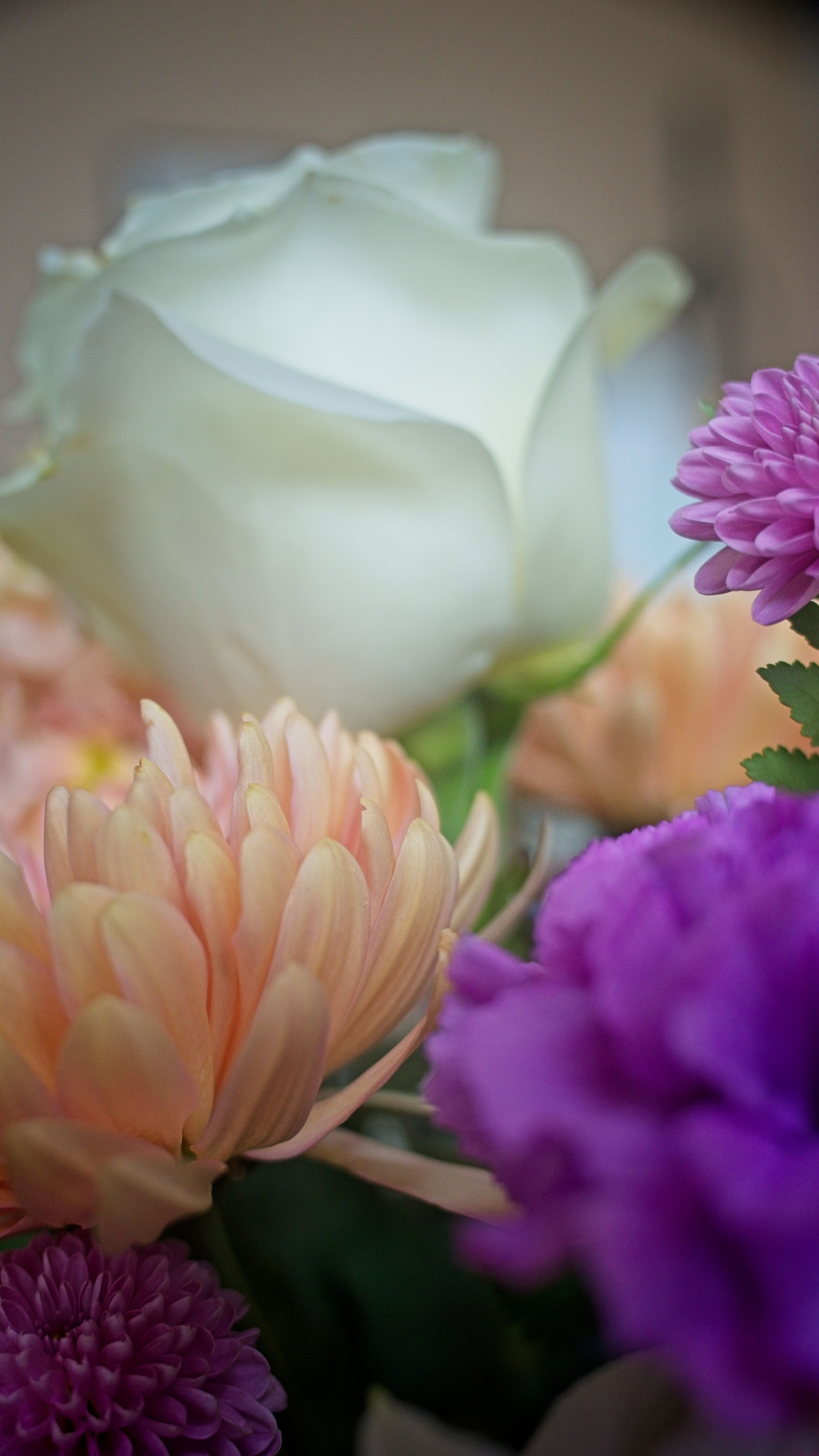 Lance Albers Art and Photography 2025