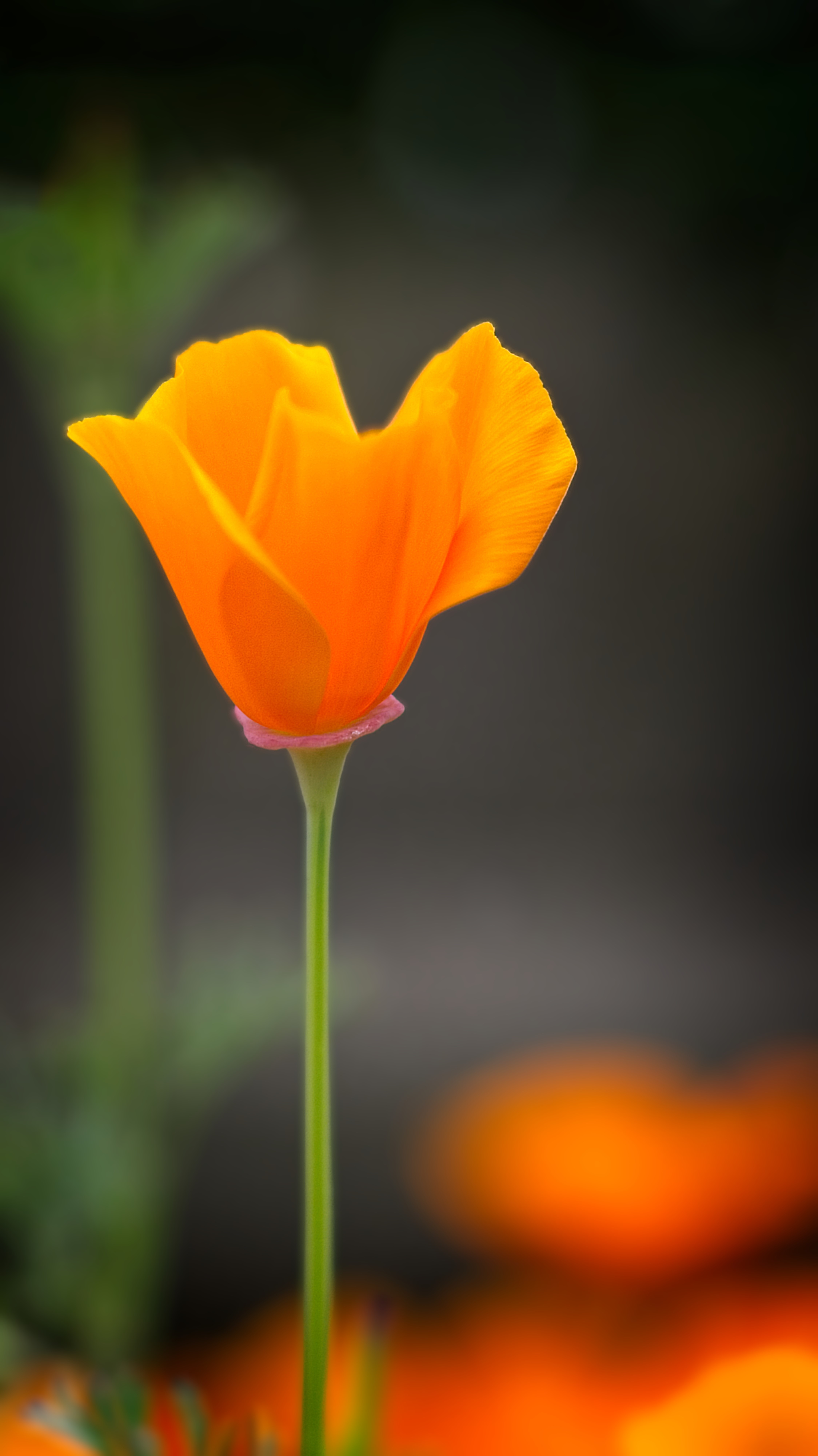 Photography by Lance Albers Fergus Falls Minnesota