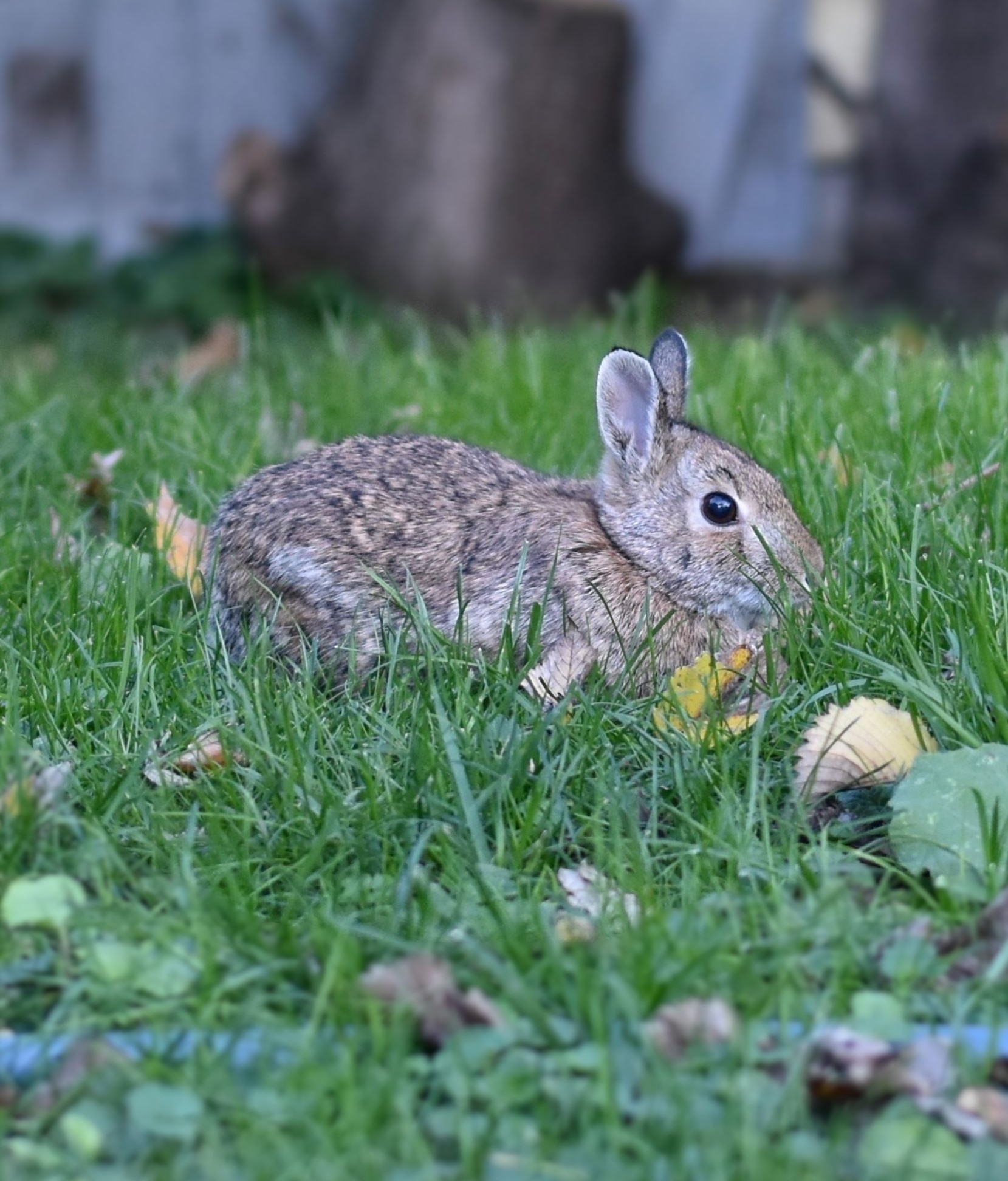 Lance Albers Photography