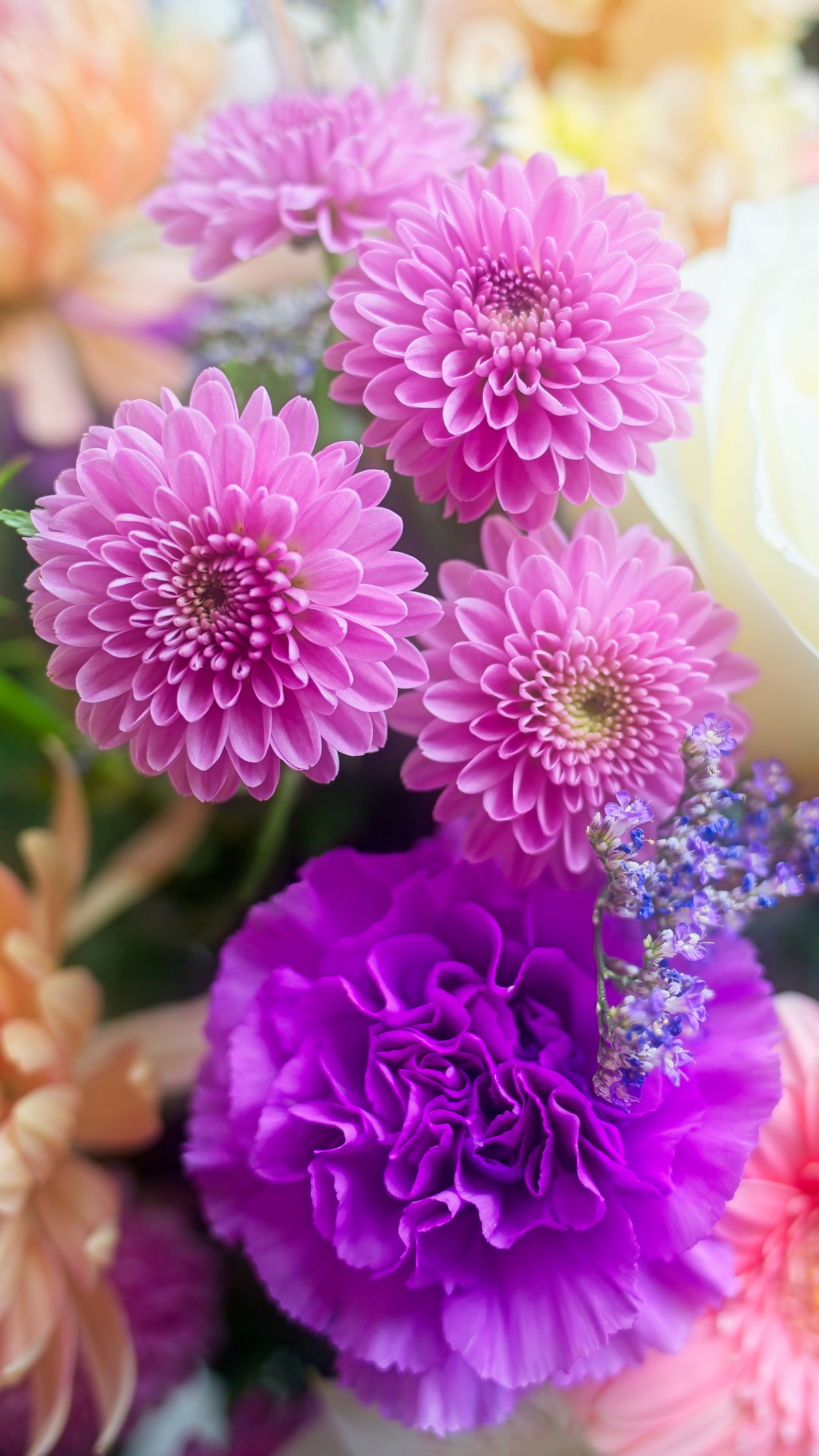 Lance Albers Art and Photography (Flower Group Photo)