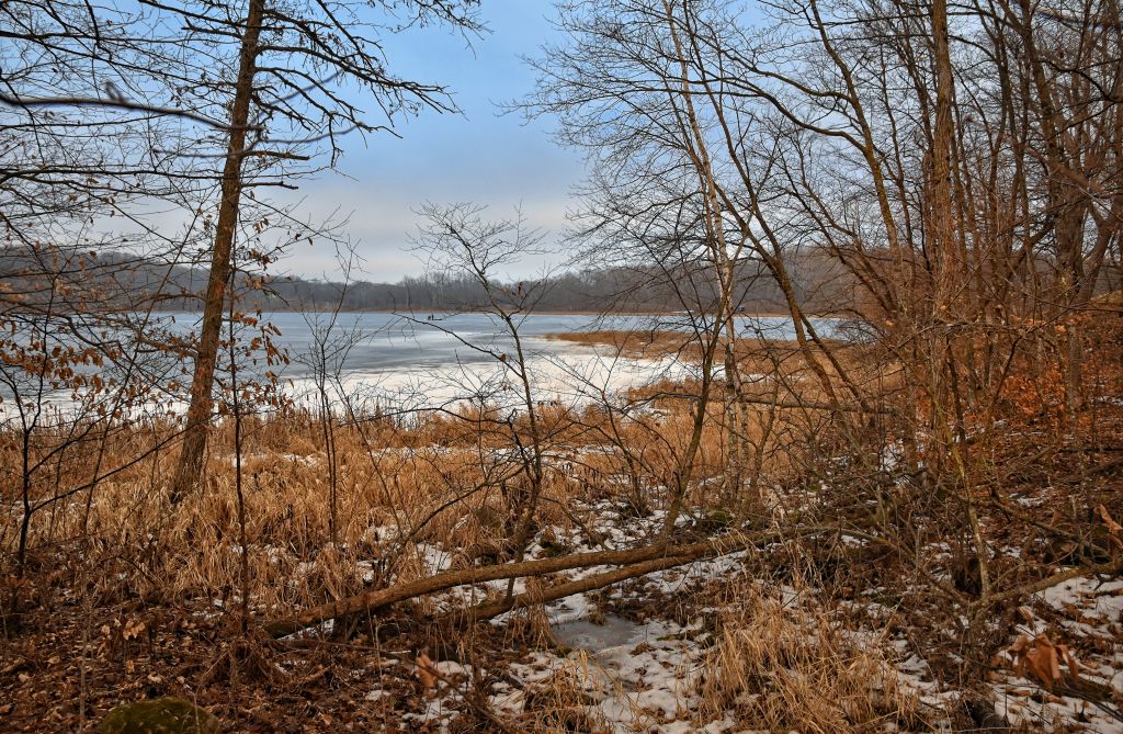 Lance Albers Nature Photography Otter Tail County Minnesota