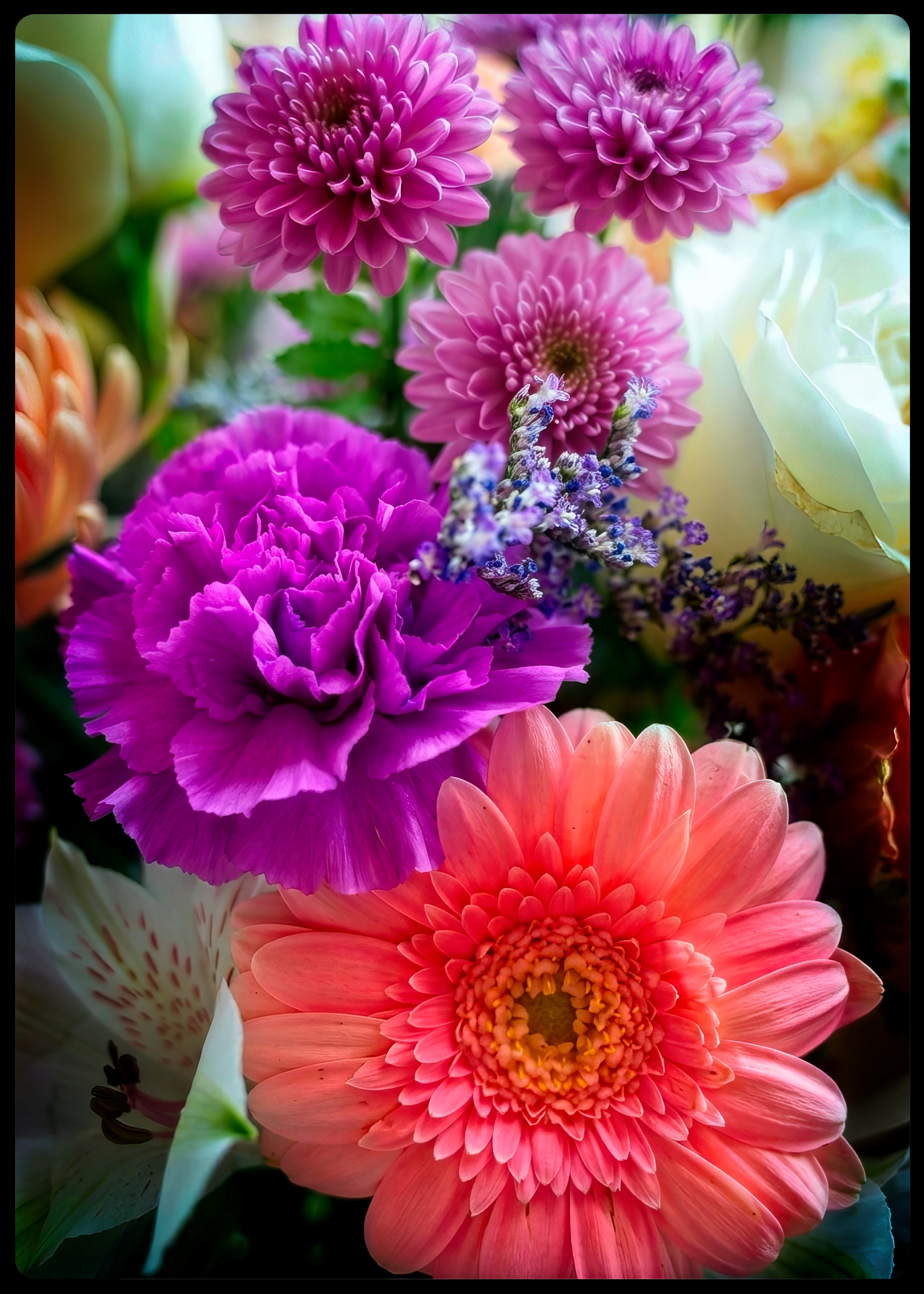 Flower Photography by Lance Albers