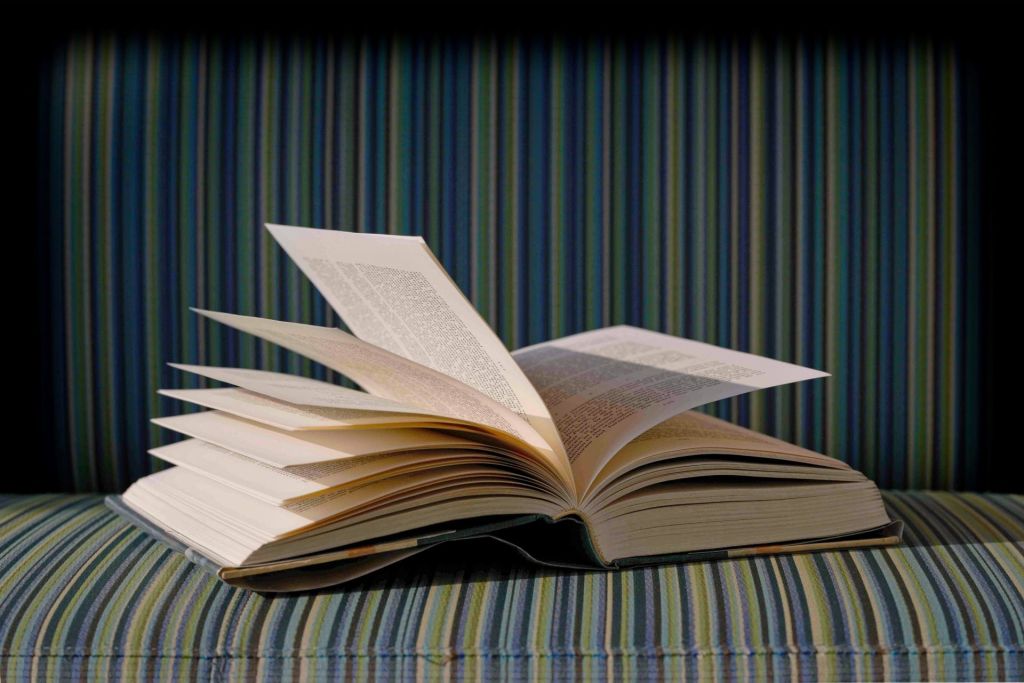 An open hardcover book with fanned, turning pages resting on a blue, green, and gold striped fabric sofa, captured in warm afternoon light.