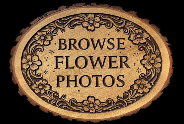 Oval wood slab sign with raw bark edges engraved with the words "Browse Flower Photos" surrounded by an intricate, carved border of blooming flowers and vines on a black background.