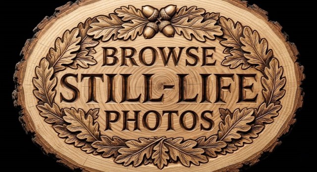 An ornate, oval wood slab sign with a rough bark edge, intricately carved with oak leaves and acorns around the raised text "BROWSE STILL-LIFE PHOTOS" against a solid black background.