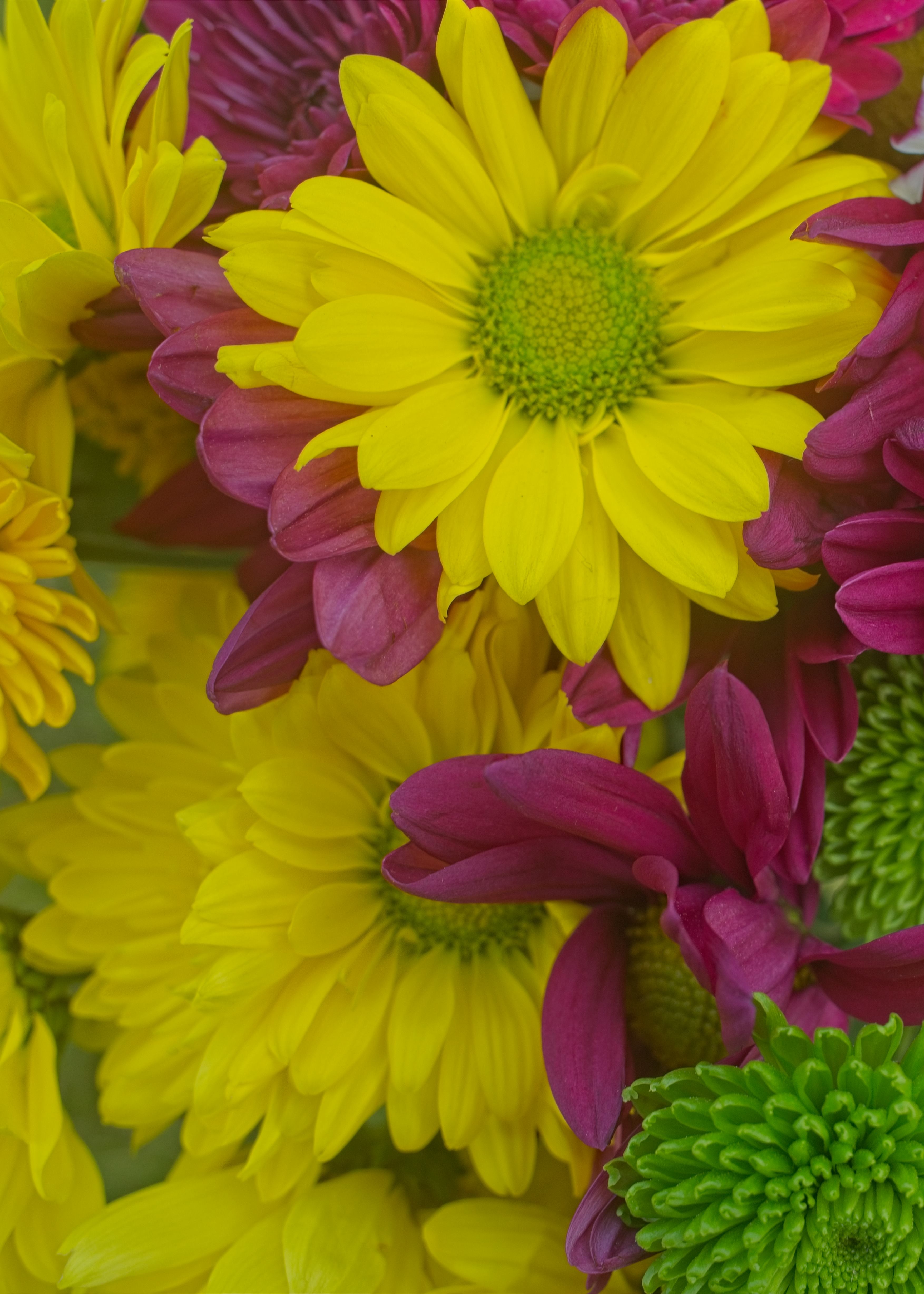 Flower Photography by Lance Albers