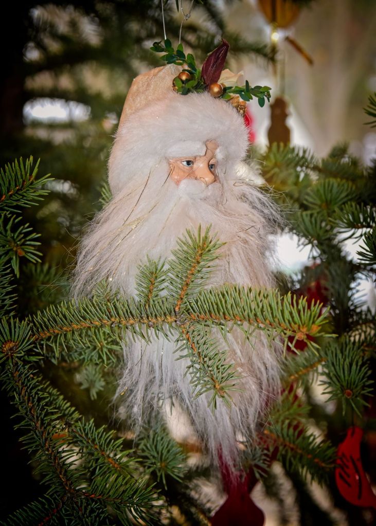 Vintage Santa Claus Christmas ornament with a long white beard and a fur-trimmed cream hat, nestled inside a green pine Christmas tree.