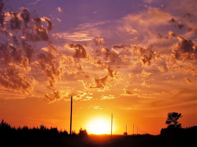 A vibrant rural sunrise photograph near Dalton, Minnesota, showing a golden sun rising over a tree line and a row of utility poles under fiery orange and purple clouds.