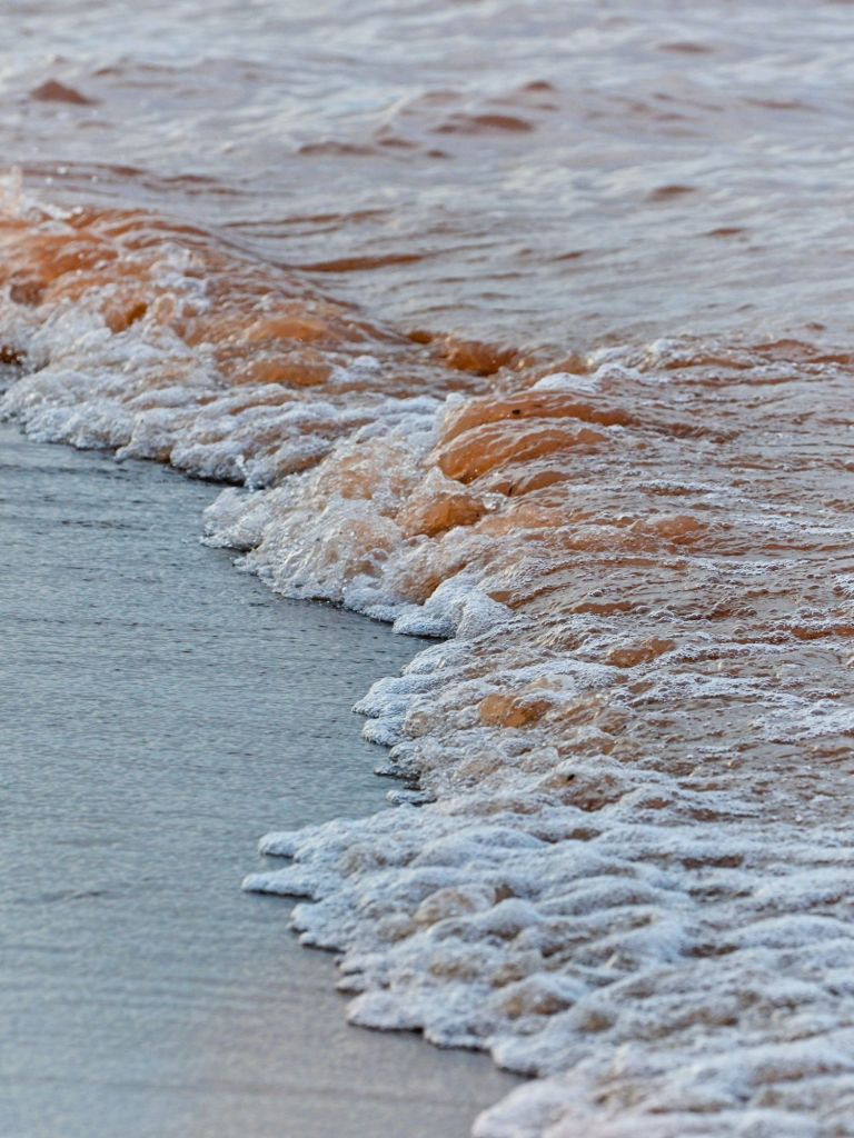 Artistic close-up of a gentle, amber-tinted wave breaking into soft white foam on a dark Wisconsin beach.